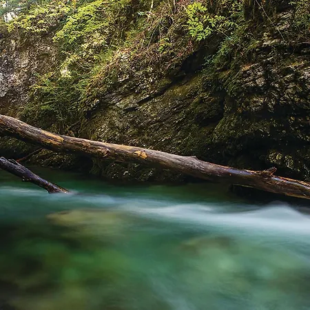 Cozy In With Sauna Casa de Férias *