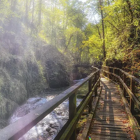 Cozy In With Sauna * Ravna Gora