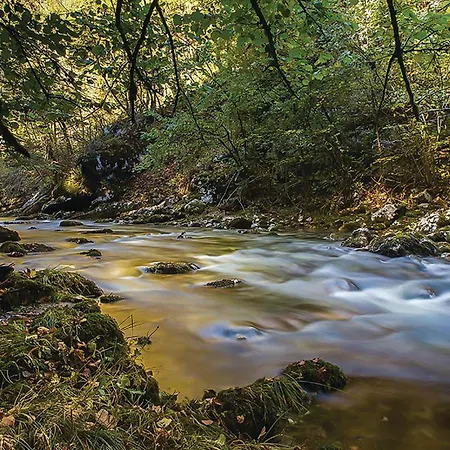 Cozy In With Sauna Casa de Férias Ravna Gora