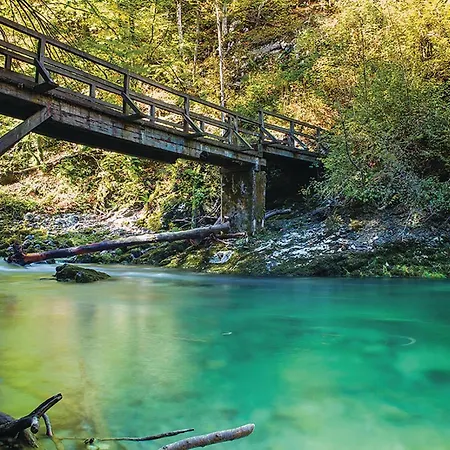 Cozy In With Sauna Ravna Gora